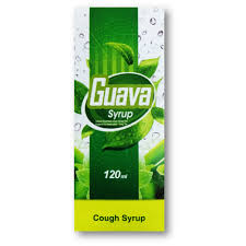GUAVA SYP